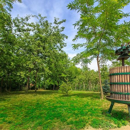 Fortuna Apartments Pacsér Kültér fotó