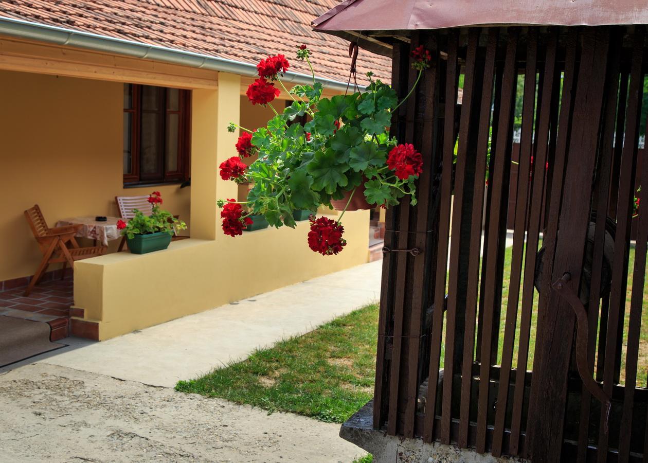 Fortuna Apartments Pacsér Kültér fotó